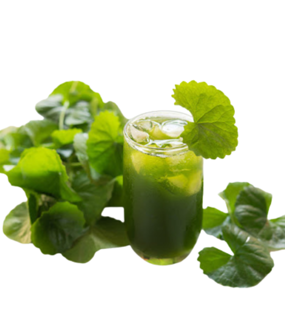 BỘT RAU MÁ HUẾ TỰ NHIÊN BỊCH 100GR