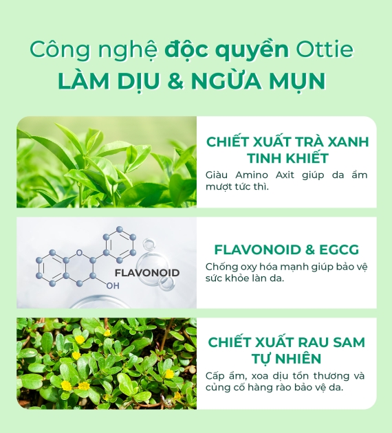 Nước Tẩy Trang Trà Xanh Ottie 200ml