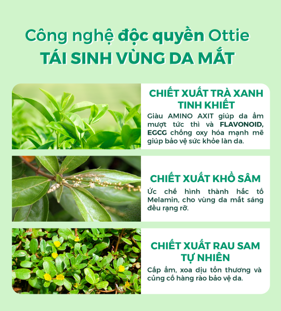 Kem Dưỡng Mắt Trà Xanh Ottie Green Tea Eye Cream 30ml