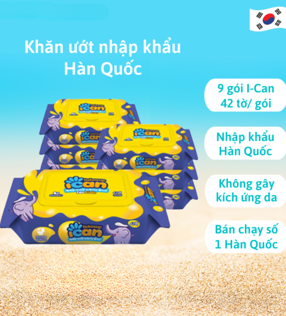 KHĂN ƯỚT TỰ HỦY 42 TỜ