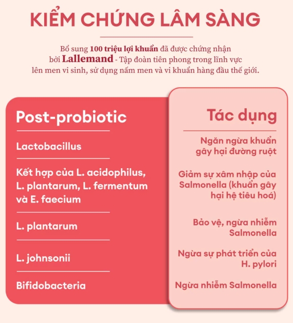 KOMBUCHA-CT LYCHEE
